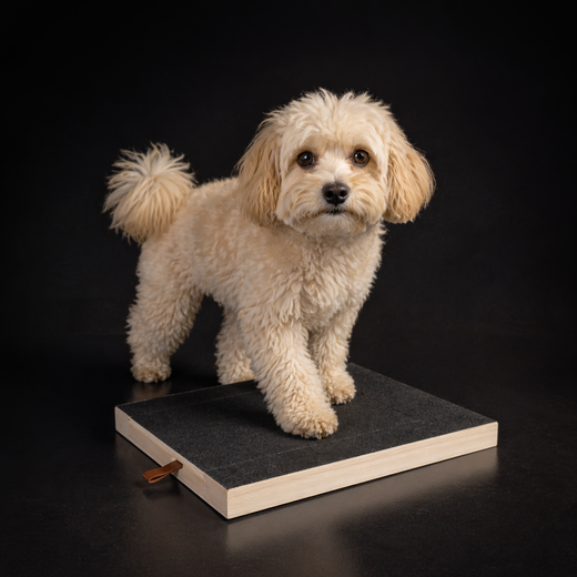 Tabla de Lijado para Uñas de perro